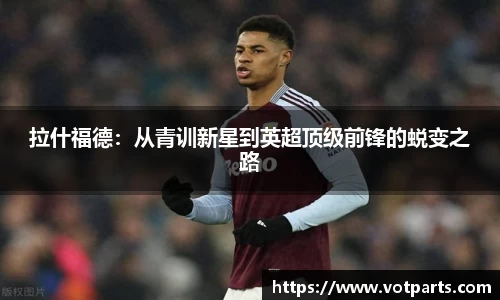 必一运动bsport体育